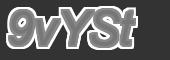 Big Brother captcha
