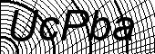 Spider Web captcha